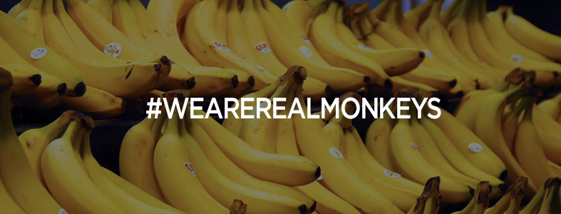 we-are-real-monkeys